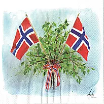 Serviett 33x33cm 17. mai stemning