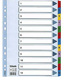 Register ESSELTE Mylar A4 1-12