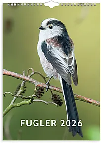 Veggkalender GRIEG 2026 Fugler