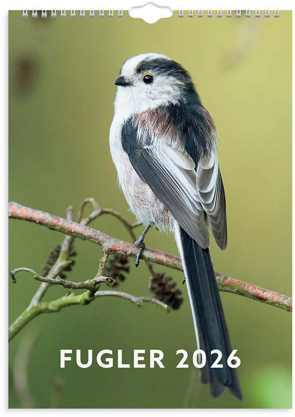 Veggkalender GRIEG 2026 Fugler