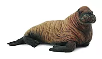 Figur Collecta Hvalross kalv 8 cm