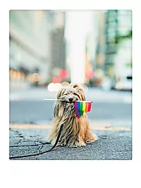 Plakat 30x40cm love is love