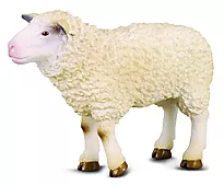 Figur Collecta Sau 8,5 cm