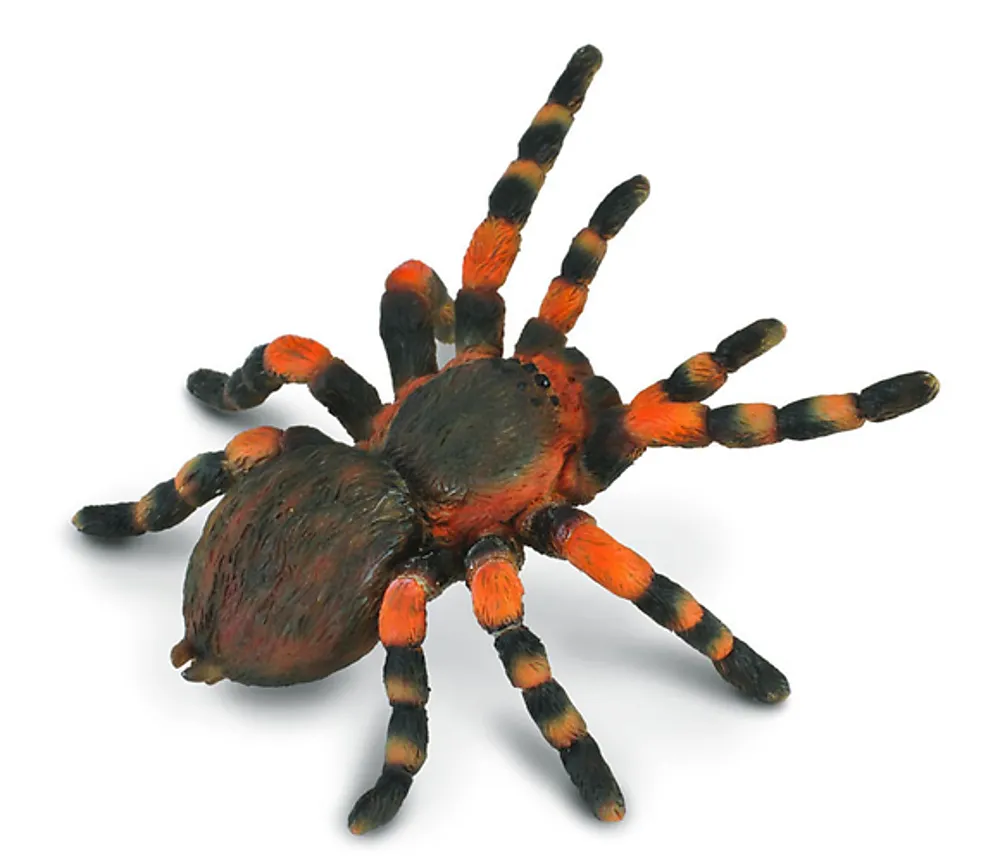 Figur Collecta Tarantula edderkopp 9,5cm