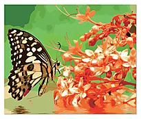 Bilde mal etter tall 25x30cm lerret