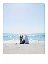 Plakat 30x40cm beach buds