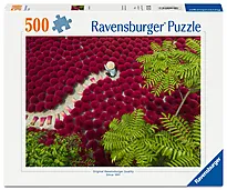 Puslespill 500 Naturens strukturer