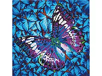 Diamond Dotz Flutter by Mauve