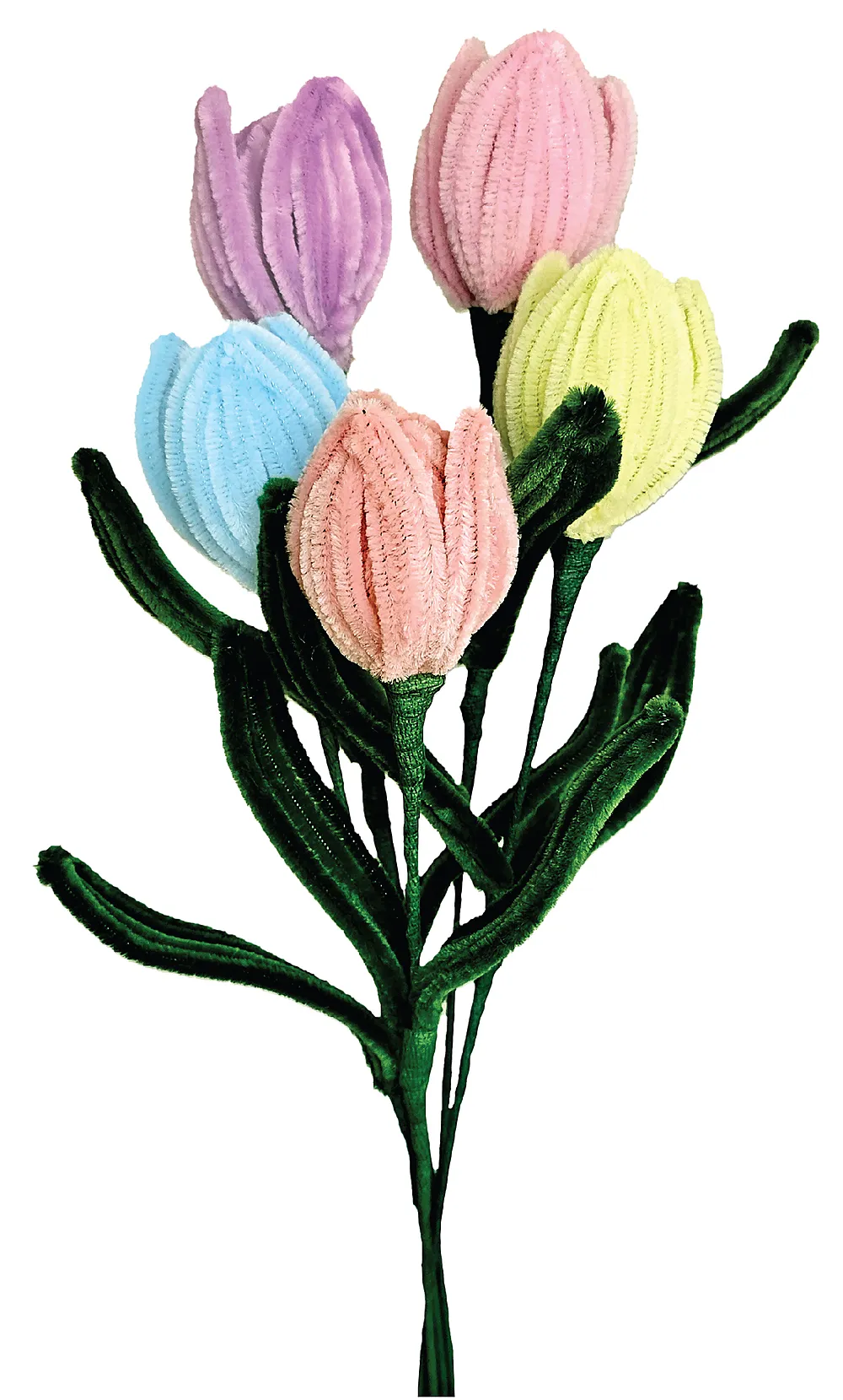 Hobbysett piperenserblomst 5stk tulipan