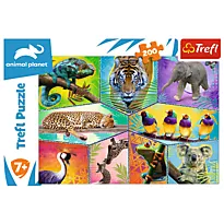 Puslespill 200 Eksotisk verden
