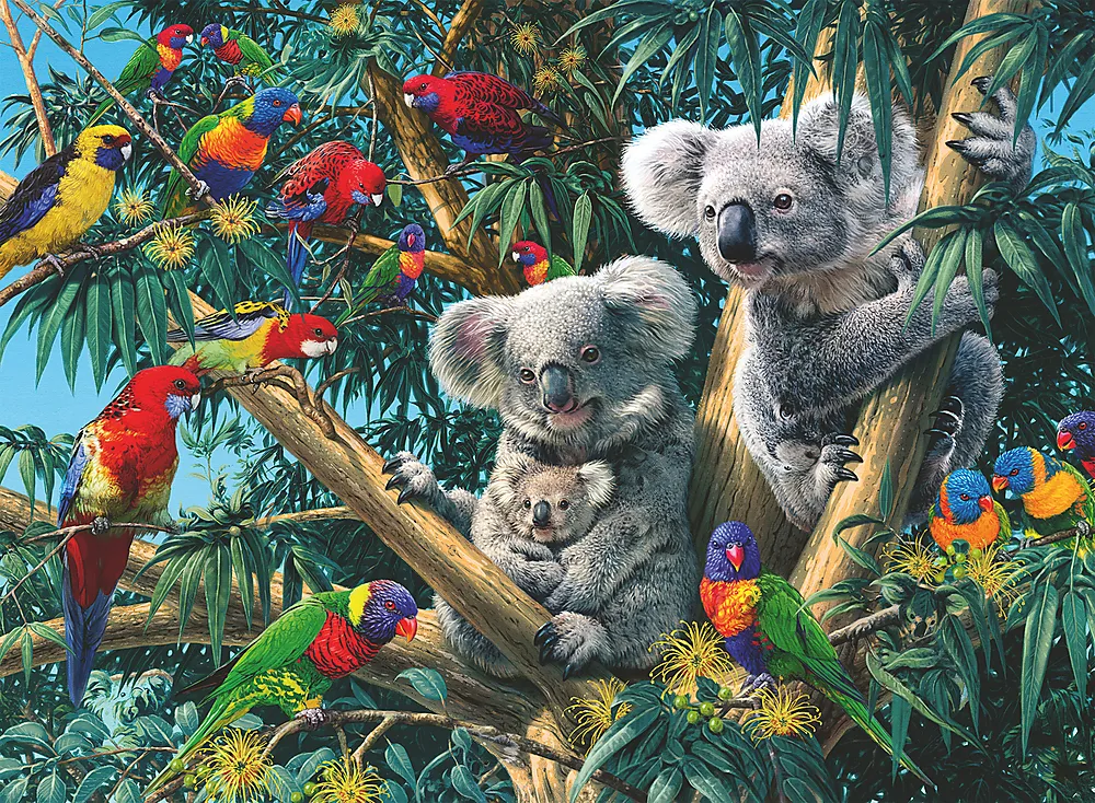 Puslespill 500 Koalaer i tre