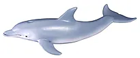 Figur Collecta Delfin 15 cm