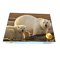Puslespill 500 isbjørn