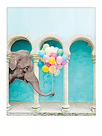 Plakat 30x40cm big birthday