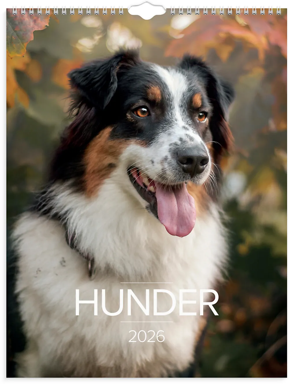 Veggkalender GRIEG 2026 Hunder