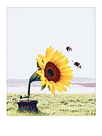 Plakat 30x40cm let the music play