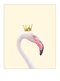Plakat 30x40cm royal flamingo