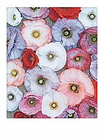 Plakat 30x40cm blossom together