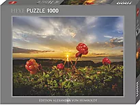 Puslespill 1000 Heye Cloudbeeries