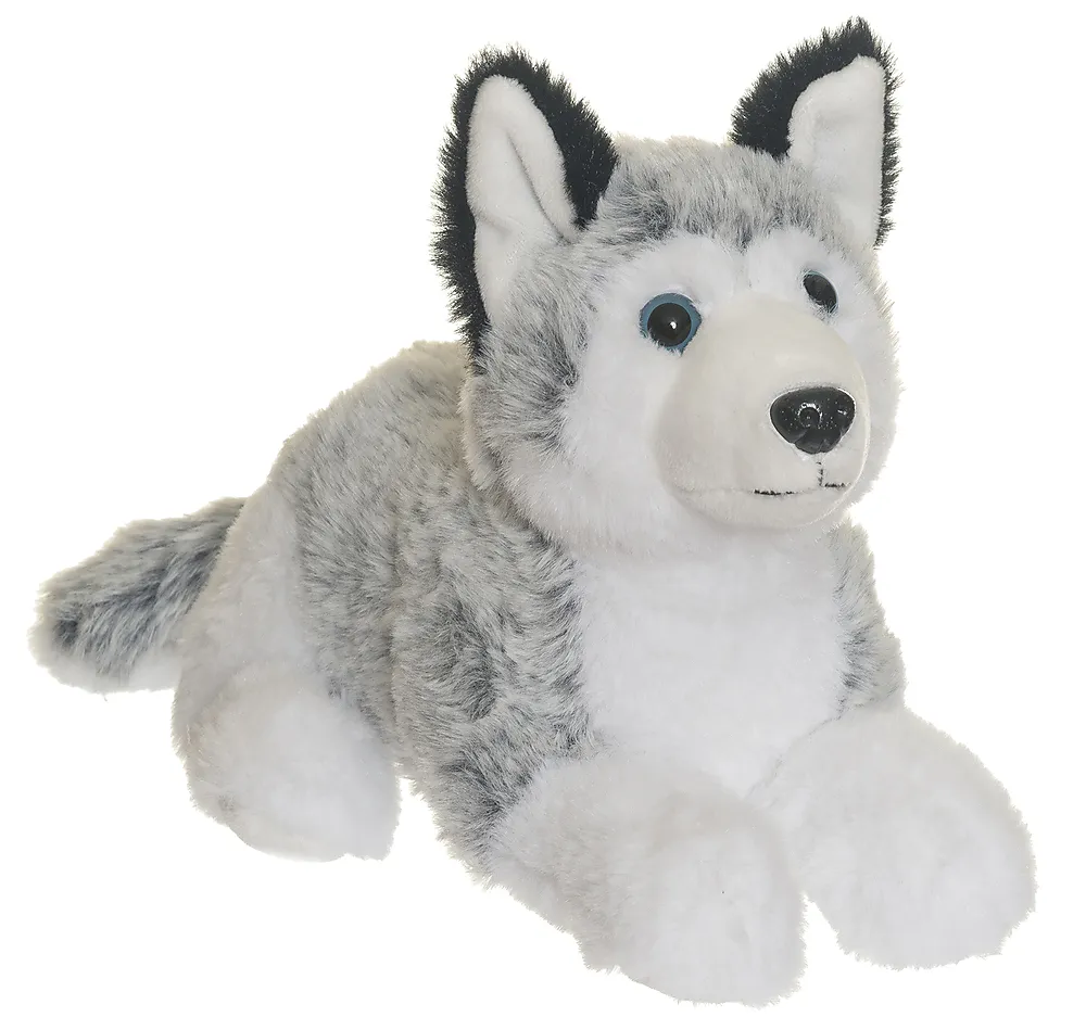 Kosedyr husky 25 cm