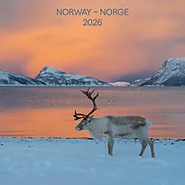 Kalender 2026 Baccara 18x18 Norge