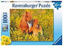 Puslespill 100 Shetlandsponni