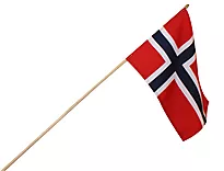 Skoleflagg 20x27