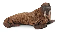 Figur Collecta Hvalross 12 cm